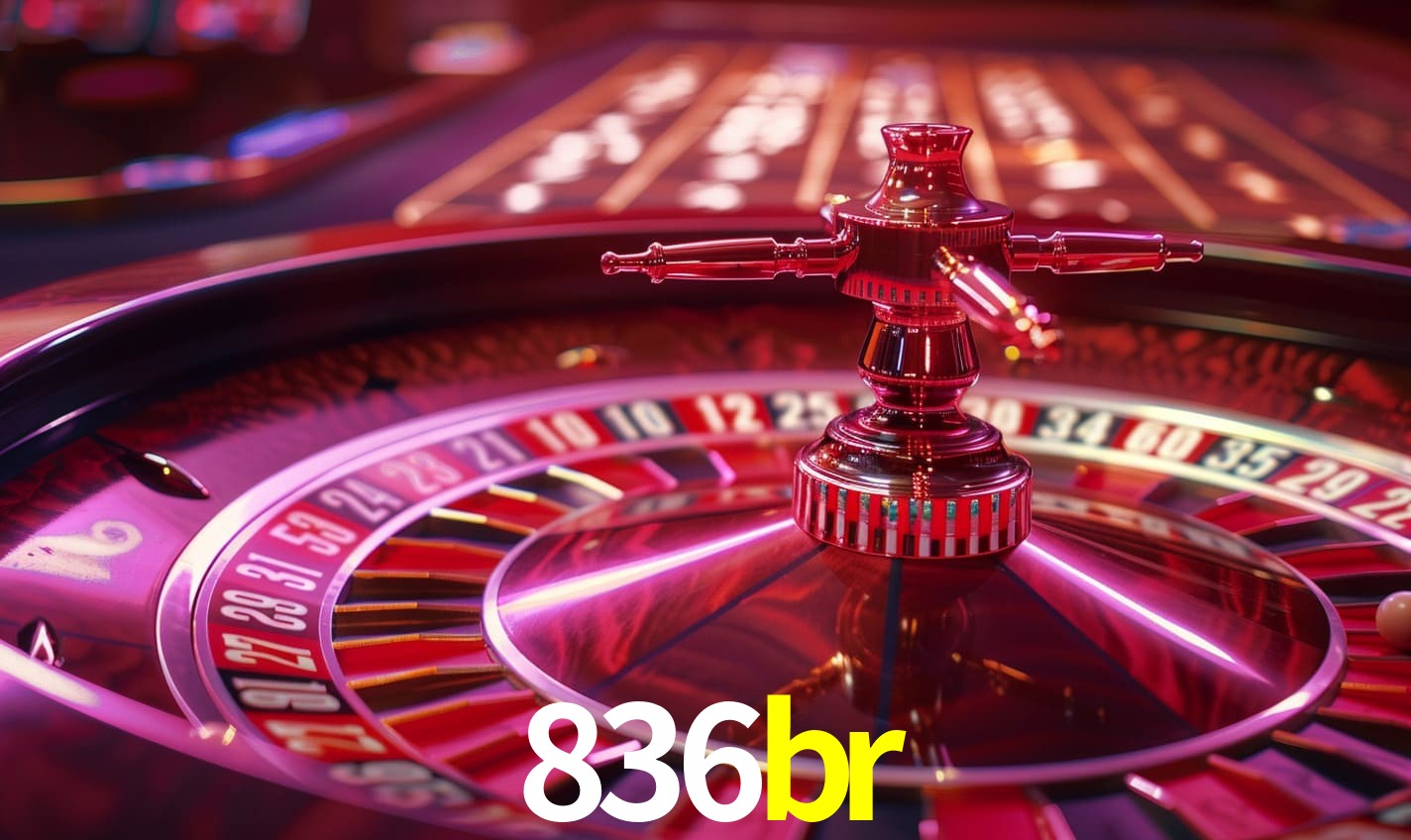 Descubra a Essência do 836br: Nossa História e Compromissos